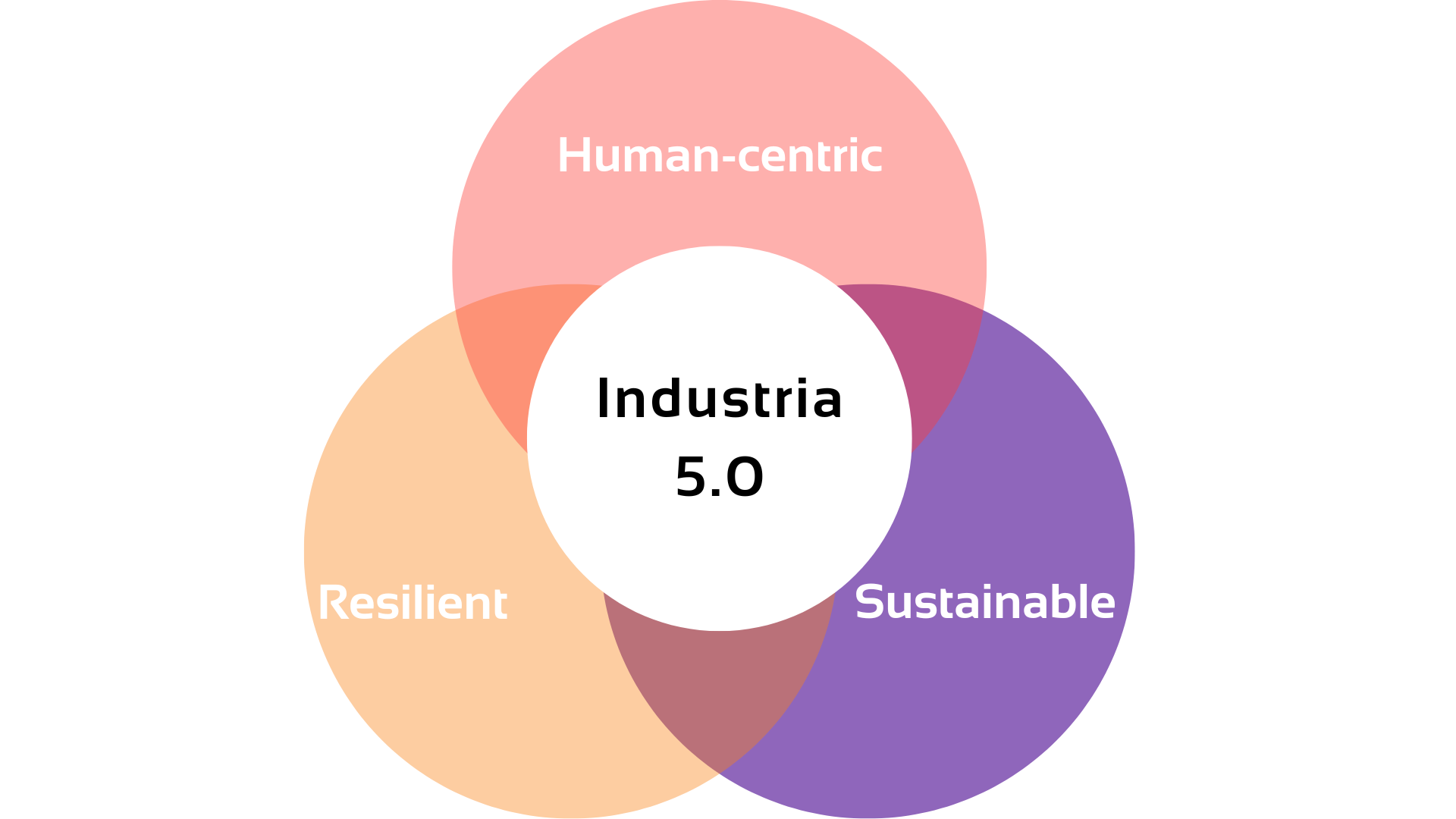 il futuro dell'impresa con industria 5.0 e il piano di transizione 5.0